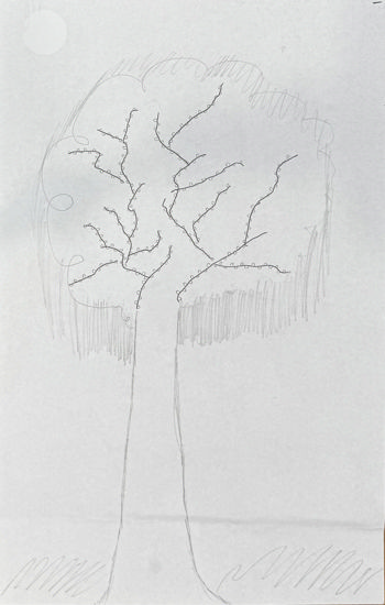 Picture of El árbol mágico