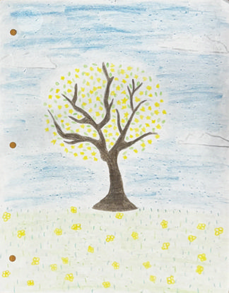 Imagen de El niño y el deseo de paz