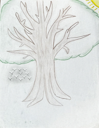 Imagen de El secreto del árbol