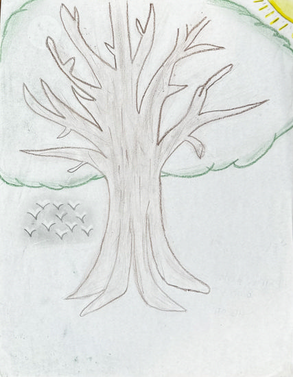 Imagen de El secreto del árbol