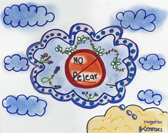 Picture of No pelear