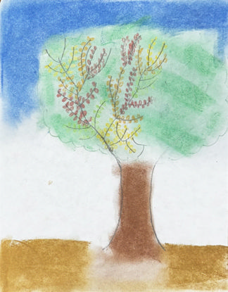 Imagen de Tierra de paz