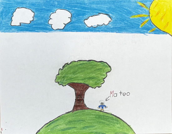 Picture of Un árbol magico