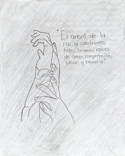 Imagen de La paz que construimos 