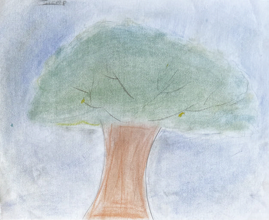 Imagen de Siempre hay que tener esperanza