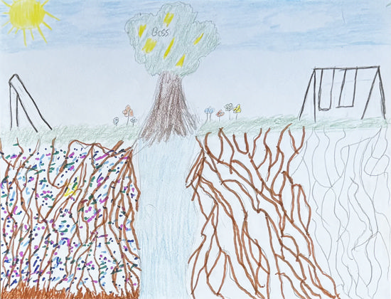 Imagen de La paz conmigo