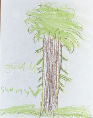 Imagen de Palmera de paz