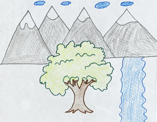 Imagen de El árbol mágico de la comunidad