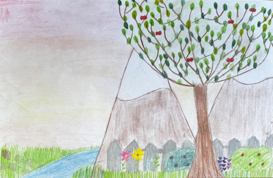 Imagen de Raices de paz