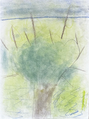 Imagen de El árbol mágico