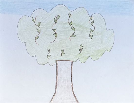 Imagen de Mateo tiene sueños