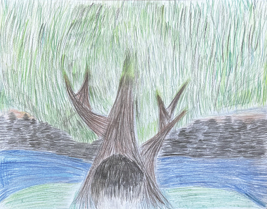 Imagen de Mateo encuentra el árbol de los sueños